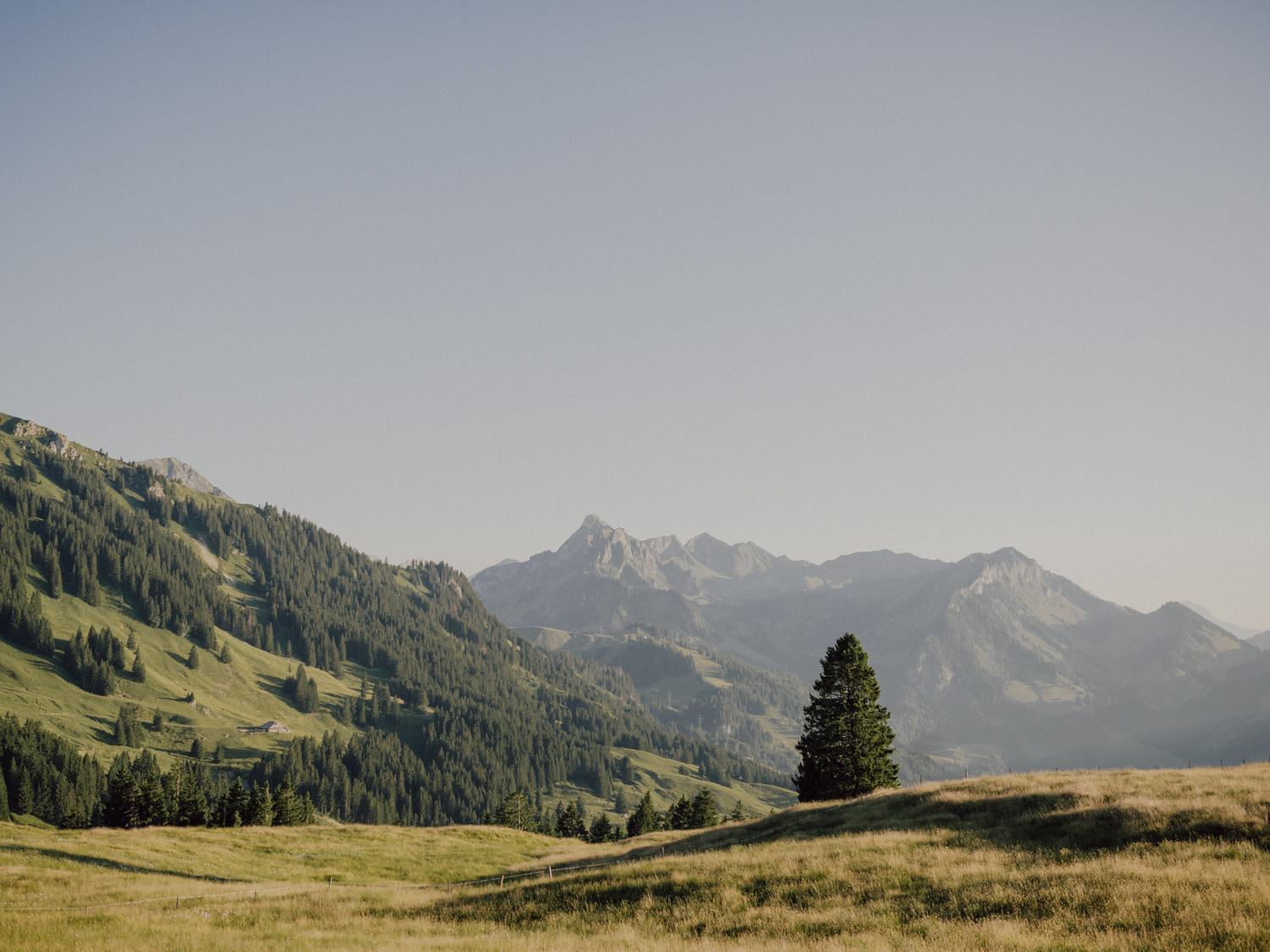 capyture-wedding-photographer-destination-elopement-switzerland-231