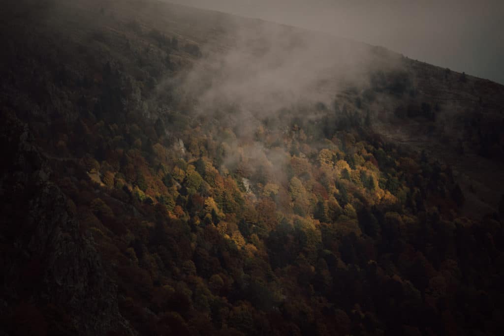 capyture-wedding-photographer-destination-nature-alsace-1308