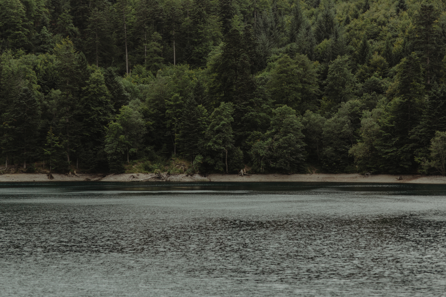 seance-engagement-montagne-lac-alsace