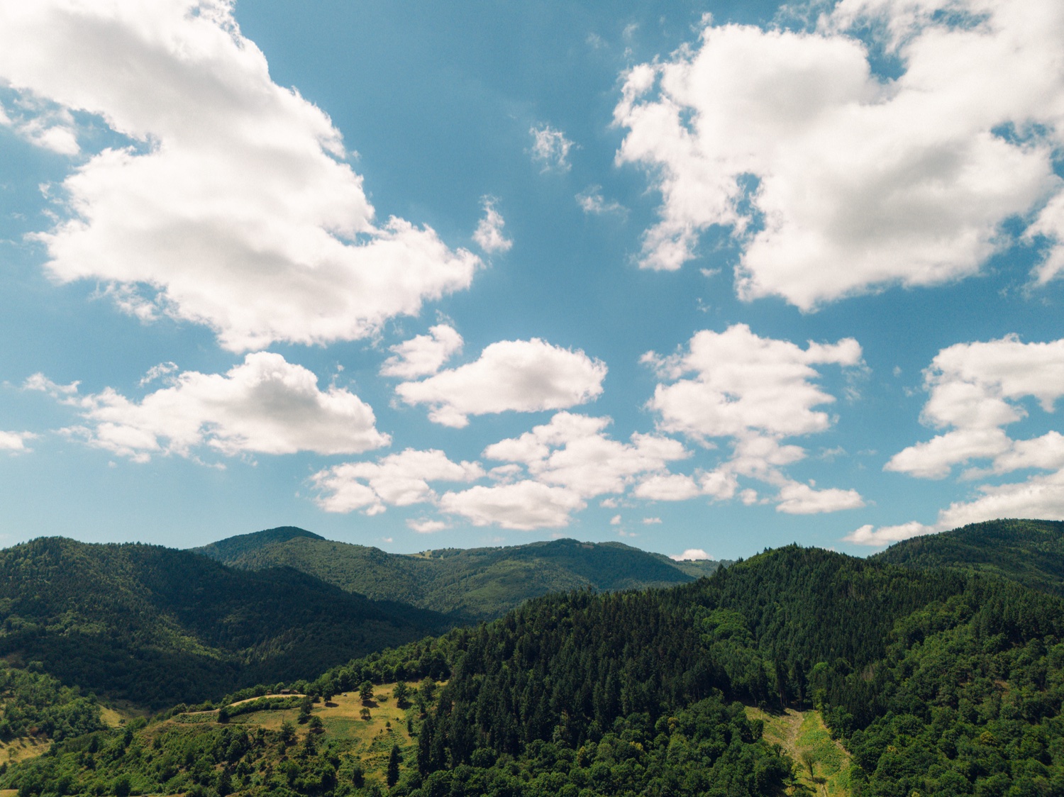 Photographe mariage Alsace – détails et décoration à la Villa des Hêtres Pourpres
