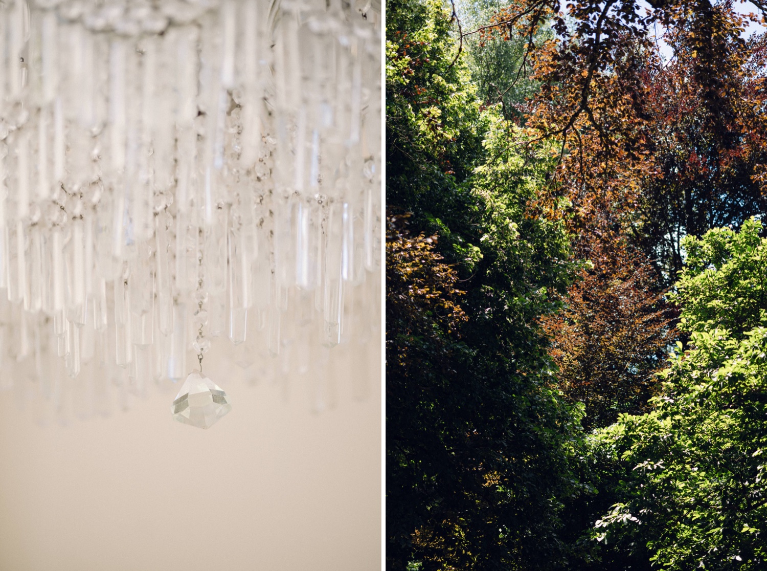 détails et ambiance du lieu à la Villa des Hêtres Pourpres