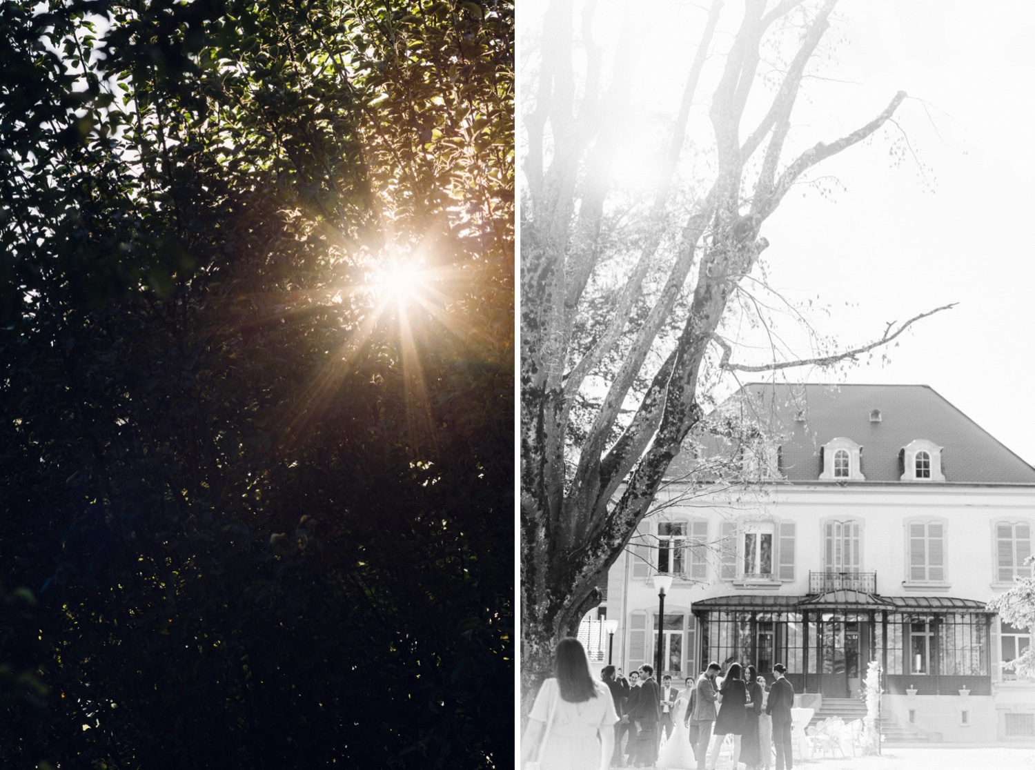 Photographe mariage Alsace – lumière naturelle à travers les arbres en fin de journée