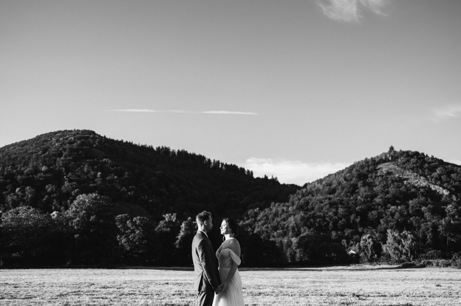 couple de mariés face au paysage naturel en noir et blanc