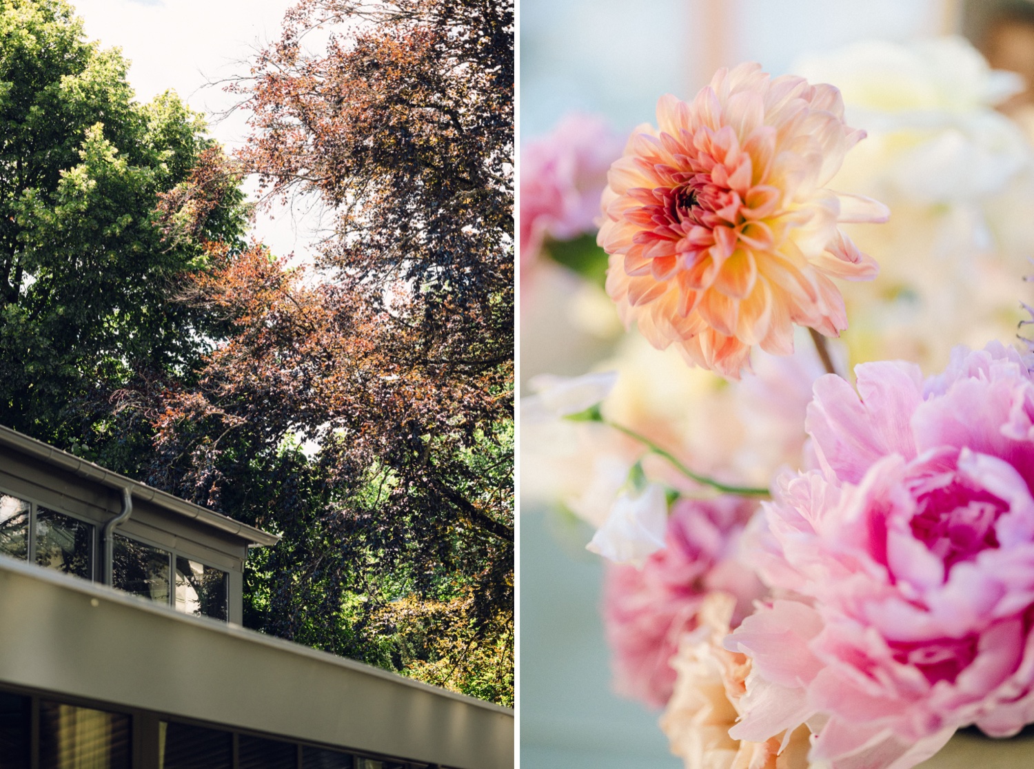 Photographe mariage Alsace – extérieur de la Villa des Hêtres Pourpres et parc arboré