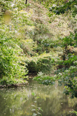 environnement naturel avec rivière autour de la maison jenny à hagenthal le bas